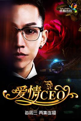 爱情CEO(全集)